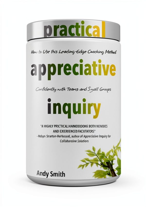 Practical Appreciative Inquiry Kindle eBook by XYZ – Leadership Guide-0